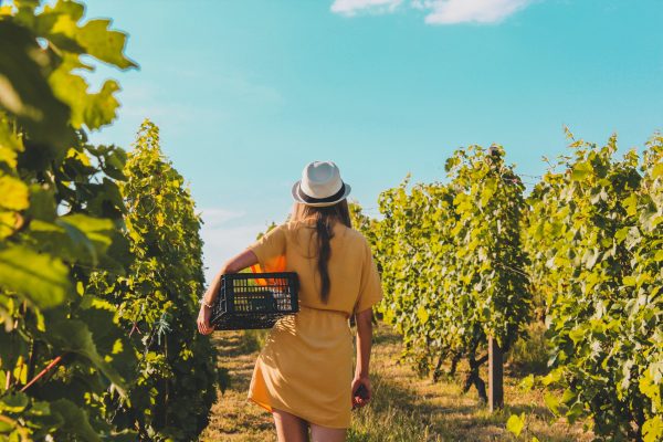 9 Places to Visit in Loudoun County