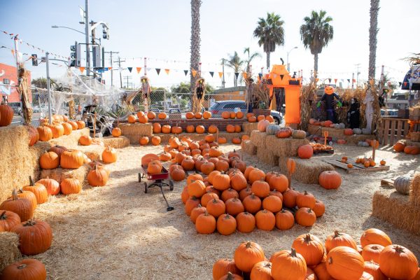 Fun Fall Activities in Northern Virginia